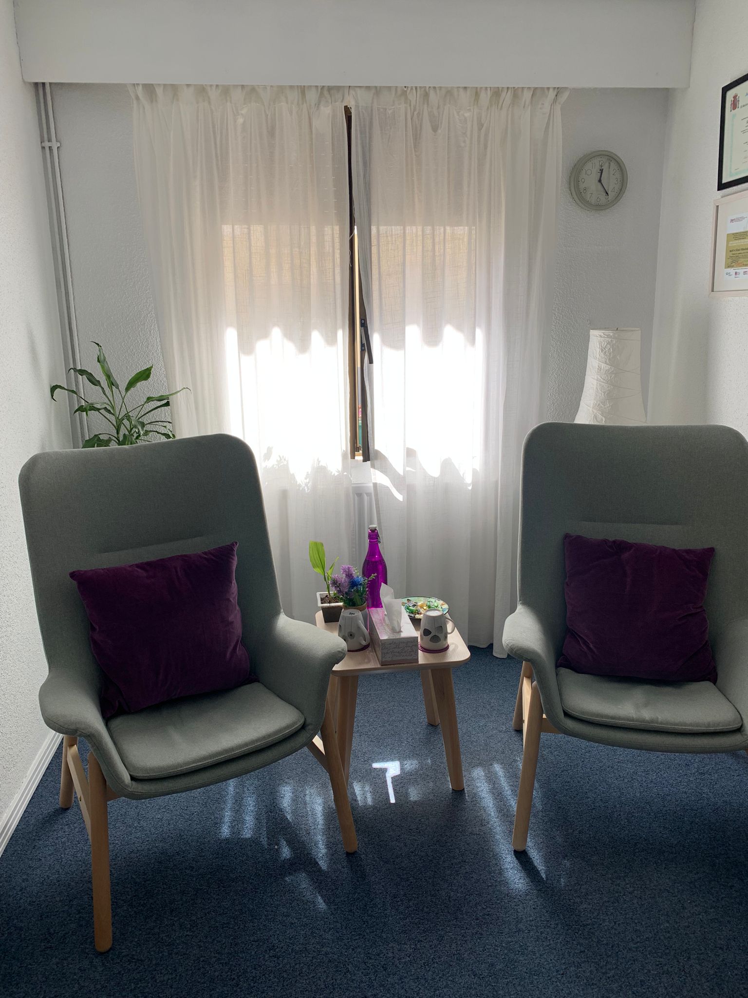 Precio por sesión con psicóloga especializada en psicoterapia en Guadalajara